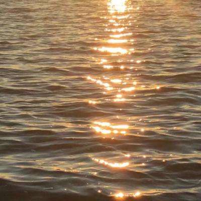 ManBetX登录网页版